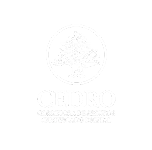 Cedro